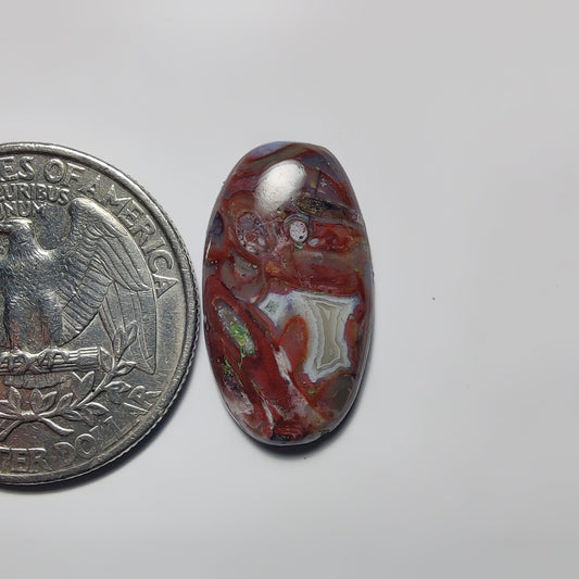 Palm Root Agate