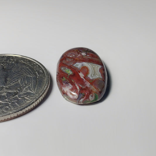 Palm Root Agate