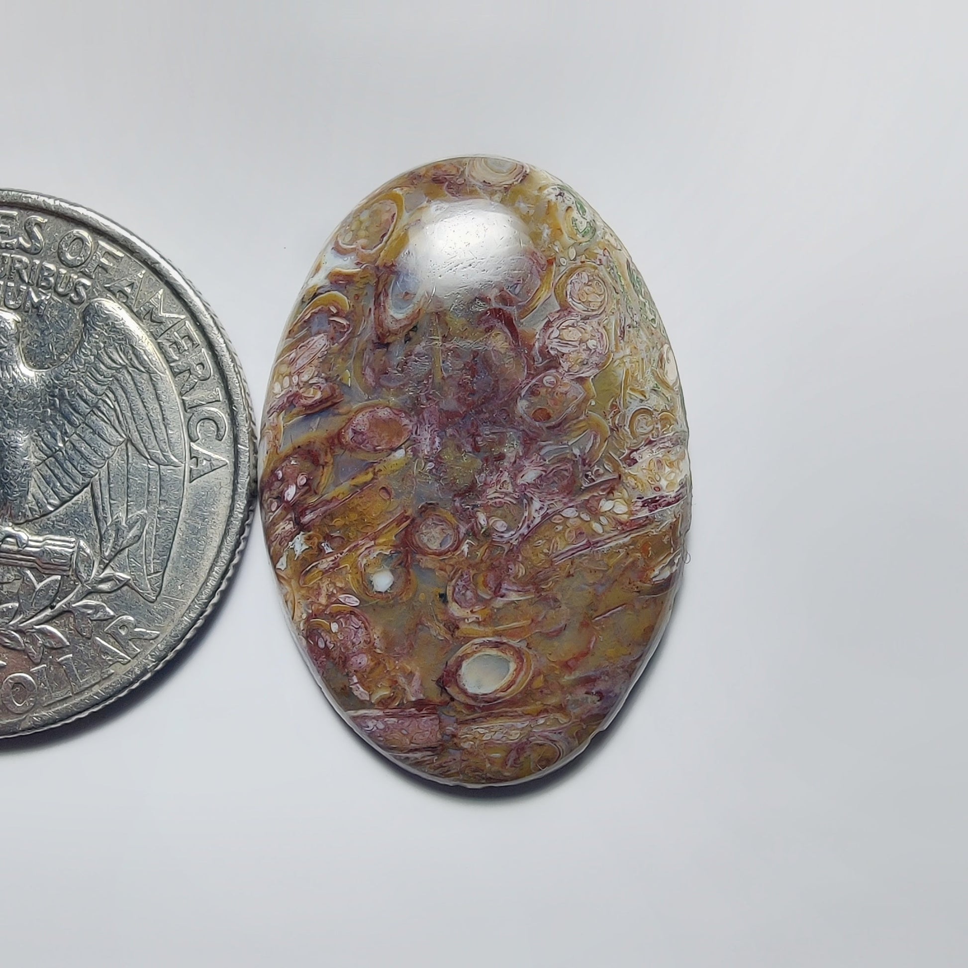 Palm Root Agate