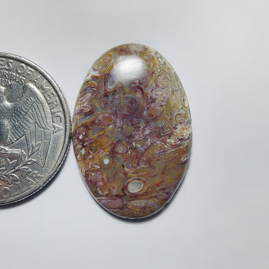 Palm Root Agate