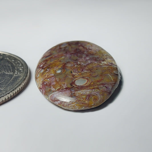 Palm Root Agate
