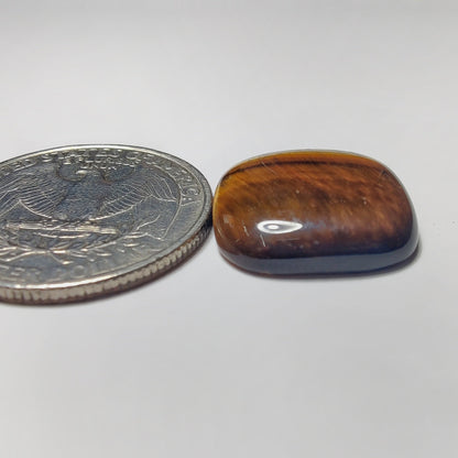 Tiger Eye gemstone cabochon - natural crystal healing stone for jewelry making by SemiPreciousCabs