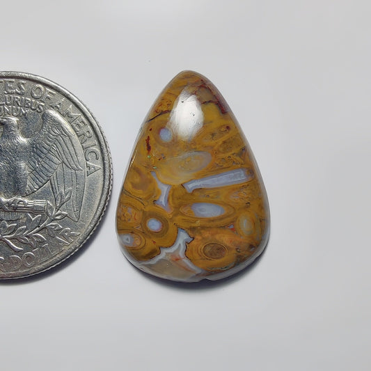 Palm Root Agate