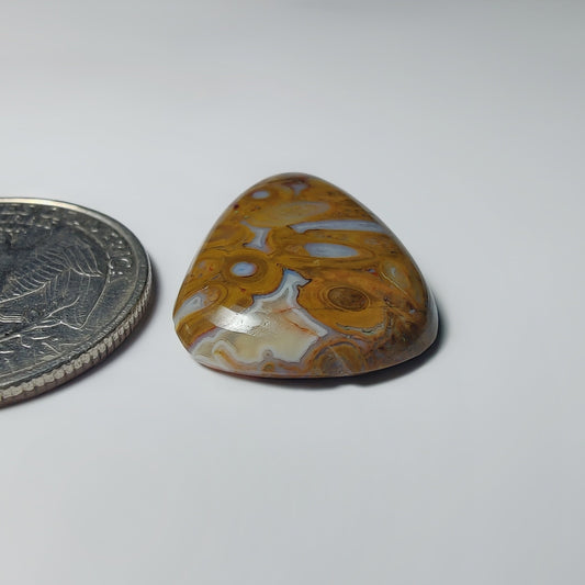 Palm Root Agate