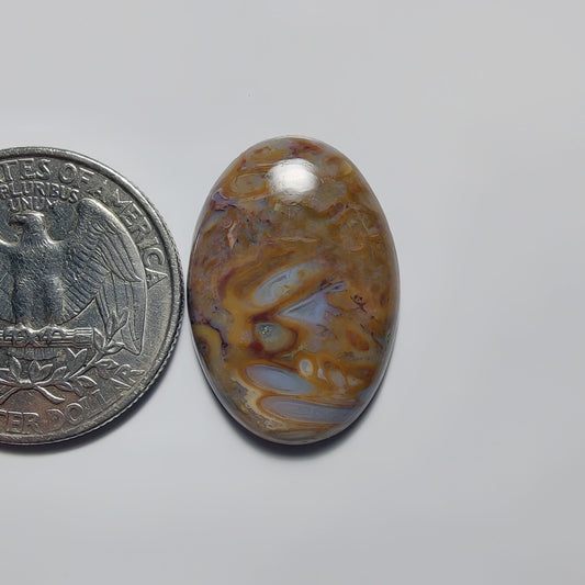Palm Root Agate
