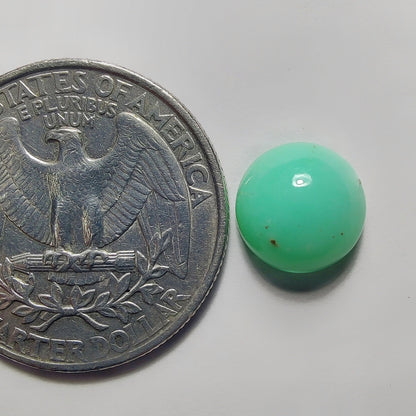 Chrysoprase gemstone cabochon - natural crystal healing stone for jewelry making by SemiPreciousCabs