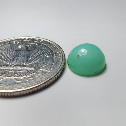 Chrysoprase gemstone cabochon - natural crystal healing stone for jewelry making by SemiPreciousCabs