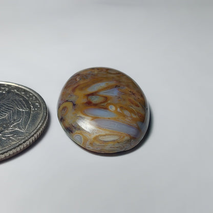 Palm Root Agate