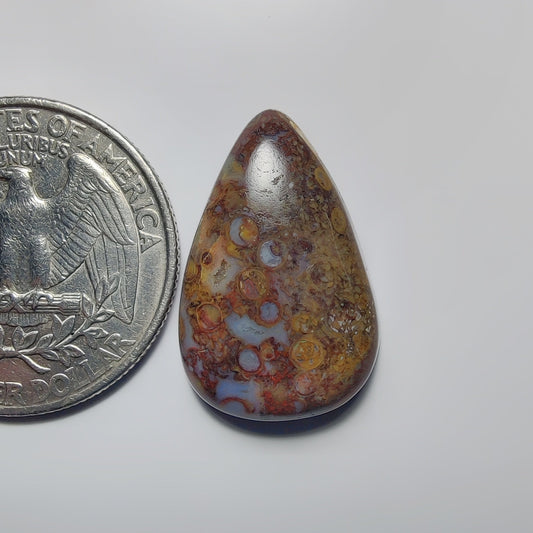 Palm Root Agate