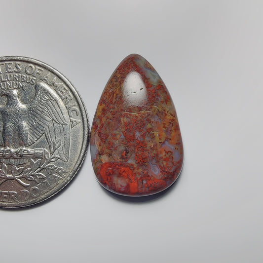 Palm Root Agate
