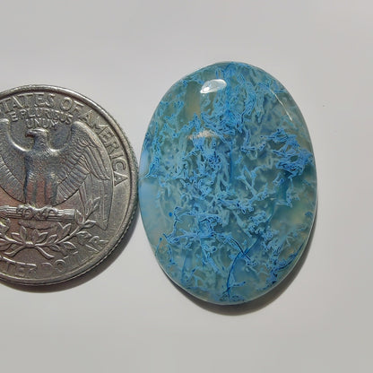 Dyed Moss Agate gemstone cabochon - natural crystal healing stone for jewelry making by SemiPreciousCabs