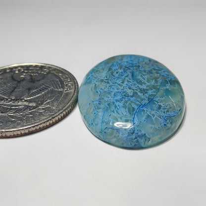 Dyed Moss Agate gemstone cabochon - natural crystal healing stone for jewelry making by SemiPreciousCabs