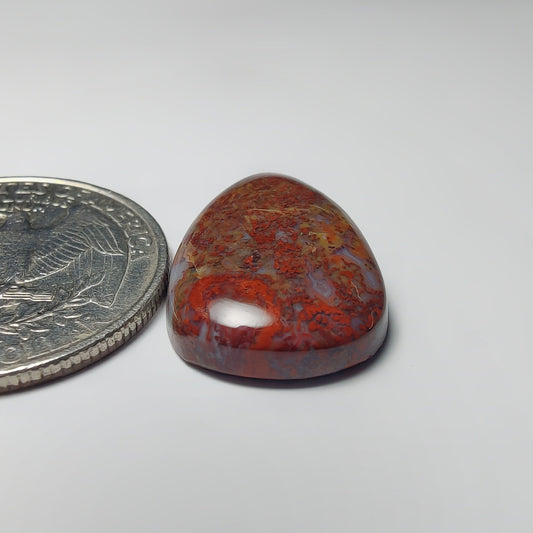 Palm Root Agate