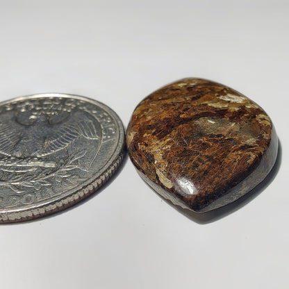 Bronzite gemstone cabochon - natural crystal healing stone for jewelry making by Gemivra