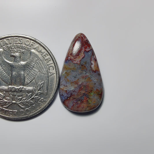 Palm Root Agate