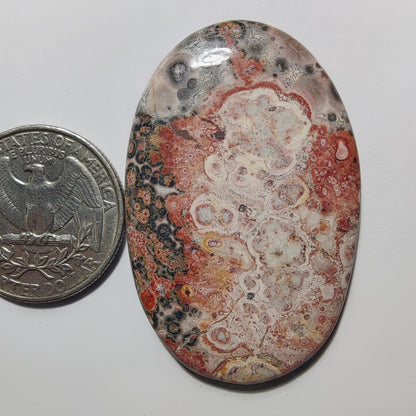 Leopard Skin Jasper gemstone cabochon - natural crystal healing stone for jewelry making by Gemivra