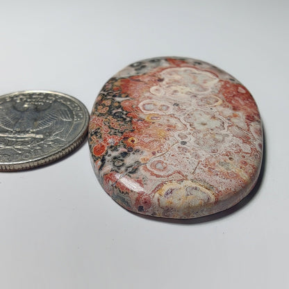 Leopard Skin Jasper gemstone cabochon - natural crystal healing stone for jewelry making by Gemivra