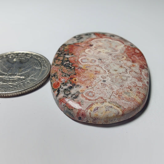 Leopard Skin Jasper gemstone cabochon - natural crystal healing stone for jewelry making by Gemivra