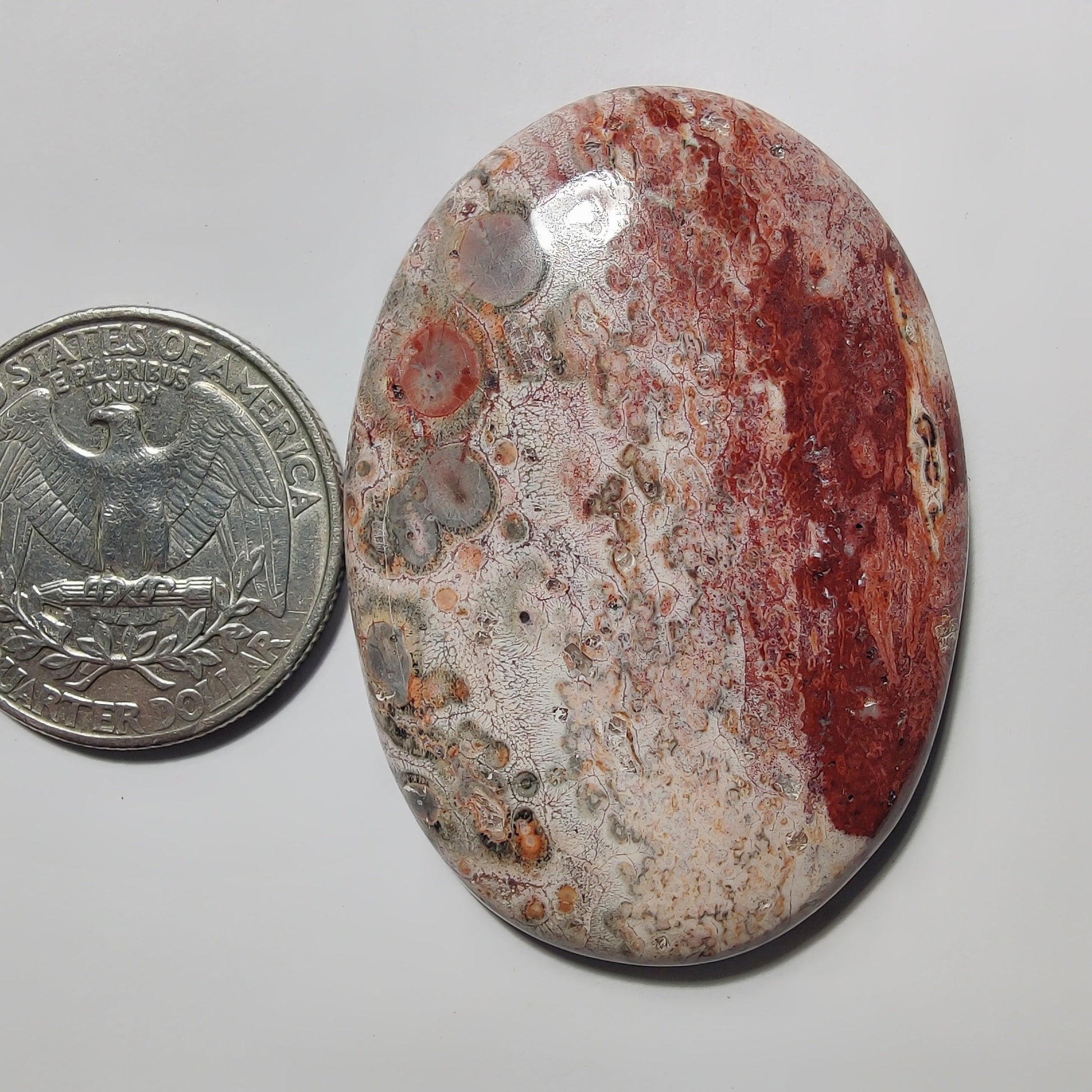 Leopard Skin Jasper gemstone cabochon - natural crystal healing stone for jewelry making by Gemivra