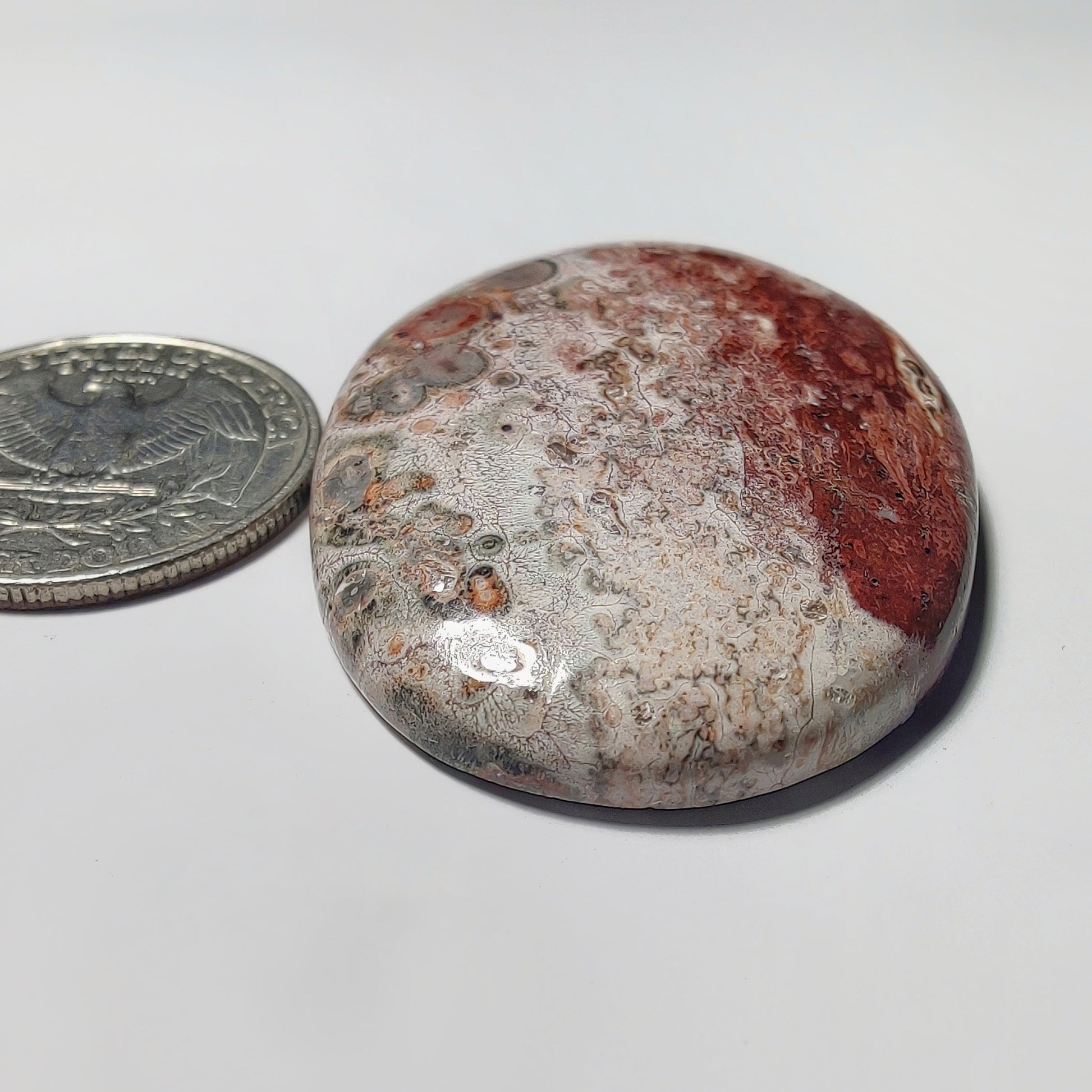 Leopard Skin Jasper gemstone cabochon - natural crystal healing stone for jewelry making by Gemivra