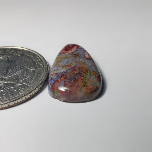 Palm Root Agate