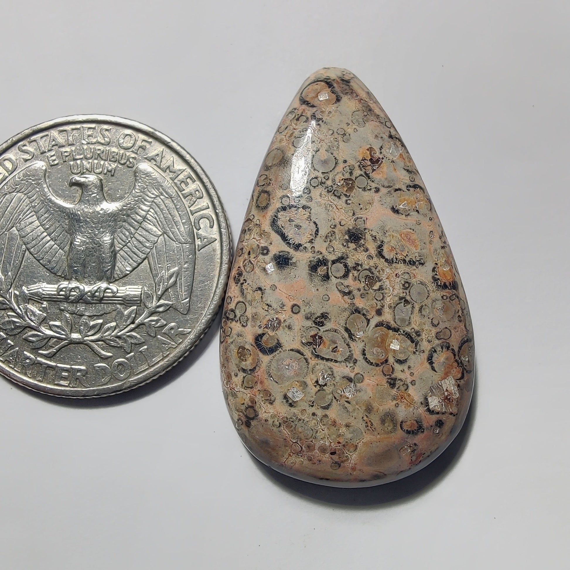 Leopard Skin Jasper gemstone cabochon - natural crystal healing stone for jewelry making by Gemivra