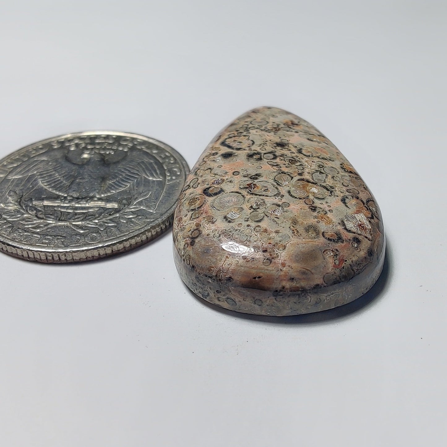 Leopard Skin Jasper gemstone cabochon - natural crystal healing stone for jewelry making by Gemivra