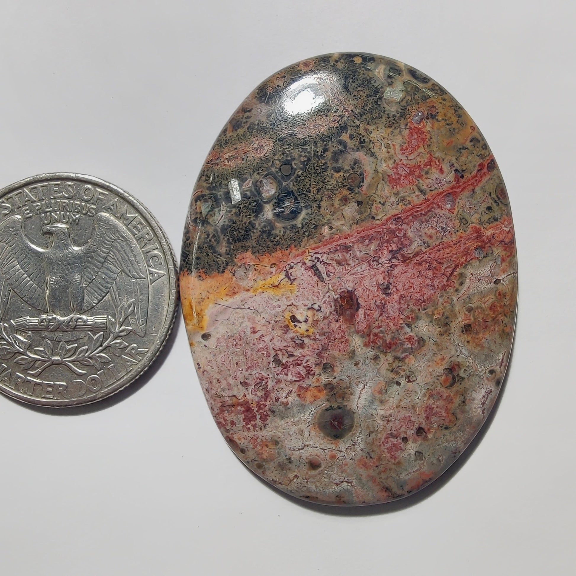 Leopard Skin Jasper gemstone cabochon - natural crystal healing stone for jewelry making by Gemivra