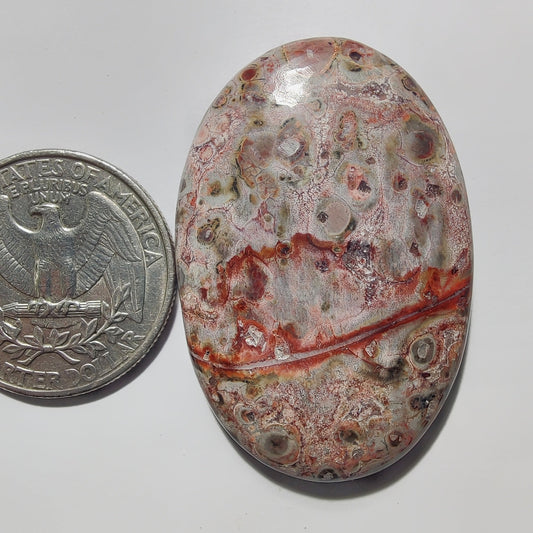 Leopard Skin Jasper gemstone cabochon - natural crystal healing stone for jewelry making by Gemivra