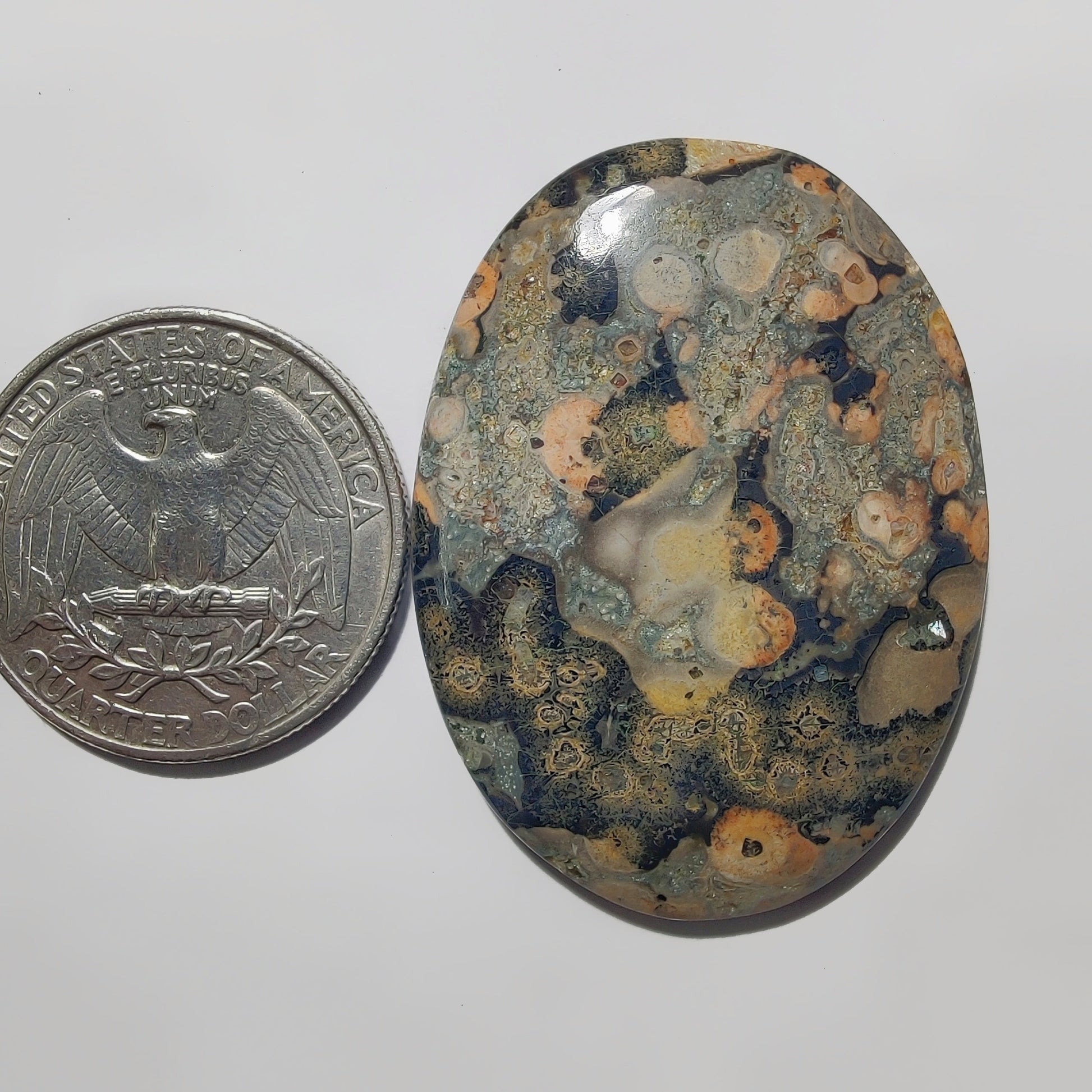 Leopard Skin Jasper gemstone cabochon - natural crystal healing stone for jewelry making by Gemivra