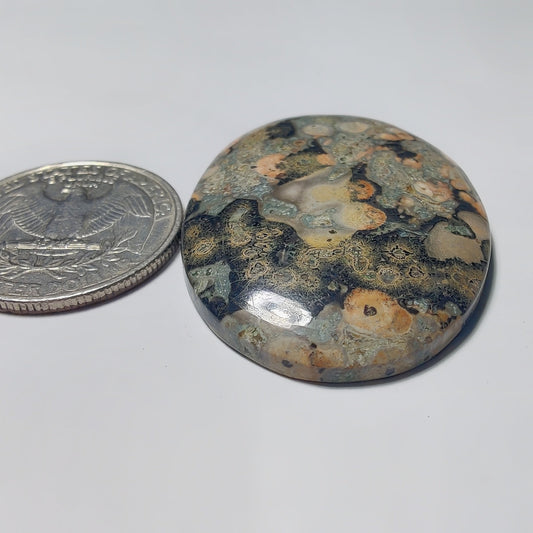 Leopard Skin Jasper gemstone cabochon - natural crystal healing stone for jewelry making by Gemivra