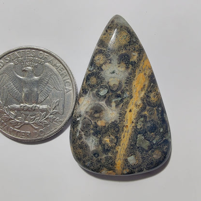 Leopard Skin Jasper gemstone cabochon - natural crystal healing stone for jewelry making by Gemivra