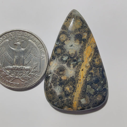 Leopard Skin Jasper gemstone cabochon - natural crystal healing stone for jewelry making by Gemivra