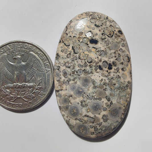 Leopard Skin Jasper gemstone cabochon - natural crystal healing stone for jewelry making by Gemivra