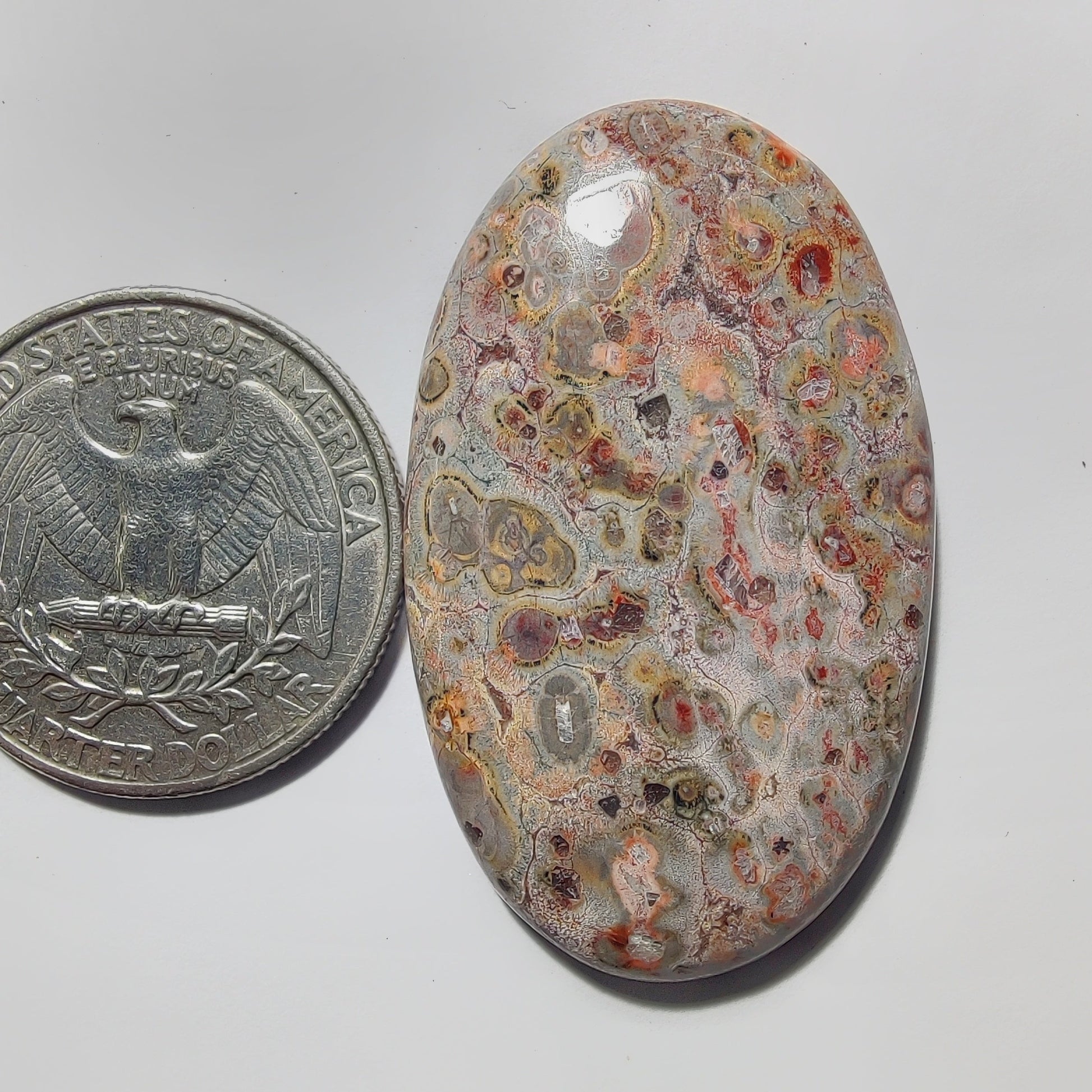 Leopard Skin Jasper gemstone cabochon - natural crystal healing stone for jewelry making by Gemivra