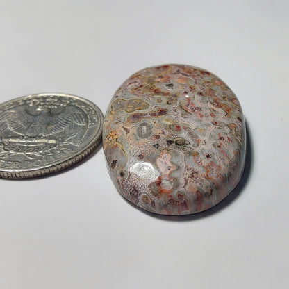 Leopard Skin Jasper gemstone cabochon - natural crystal healing stone for jewelry making by Gemivra
