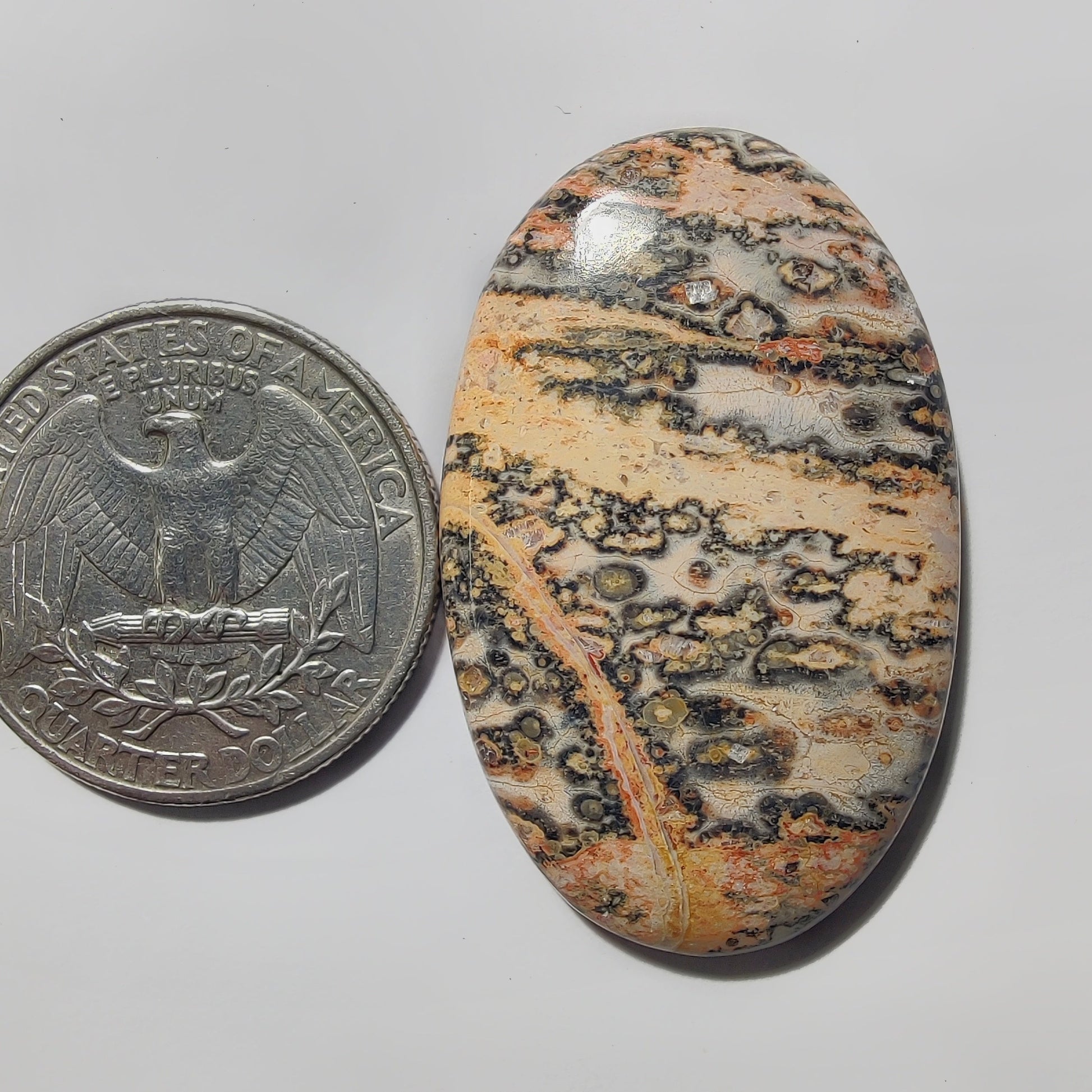 Leopard Skin Jasper gemstone cabochon - natural crystal healing stone for jewelry making by Gemivra
