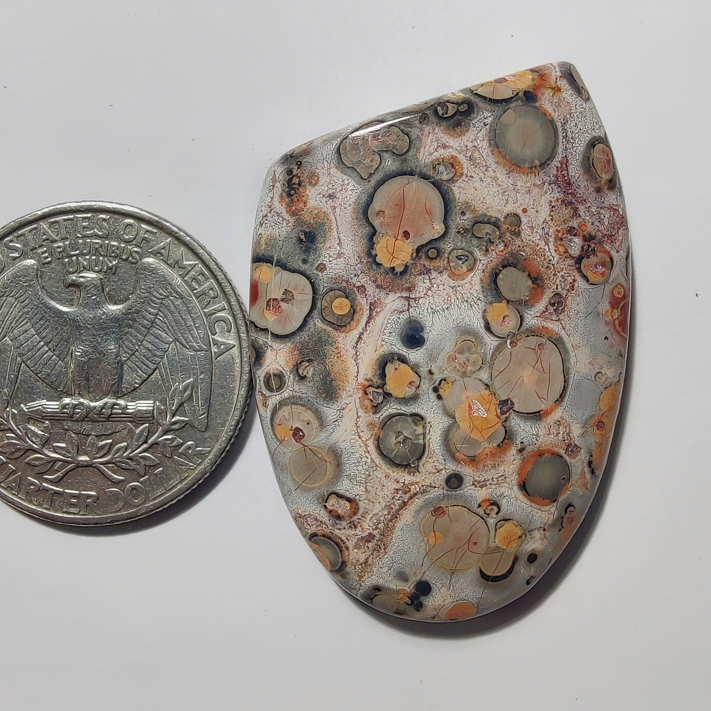 Leopard Skin Jasper gemstone cabochon - natural crystal healing stone for jewelry making by Gemivra