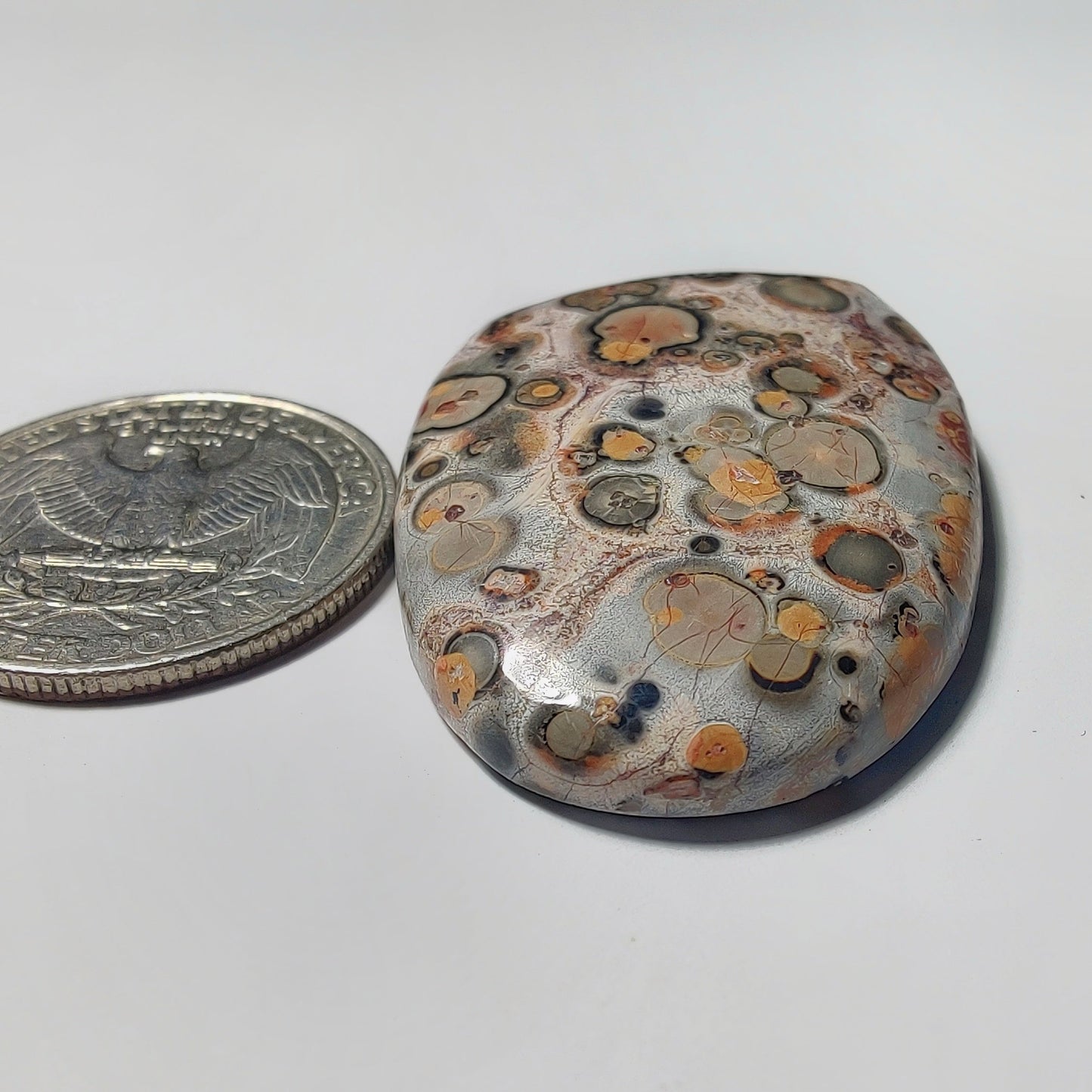 Leopard Skin Jasper gemstone cabochon - natural crystal healing stone for jewelry making by Gemivra