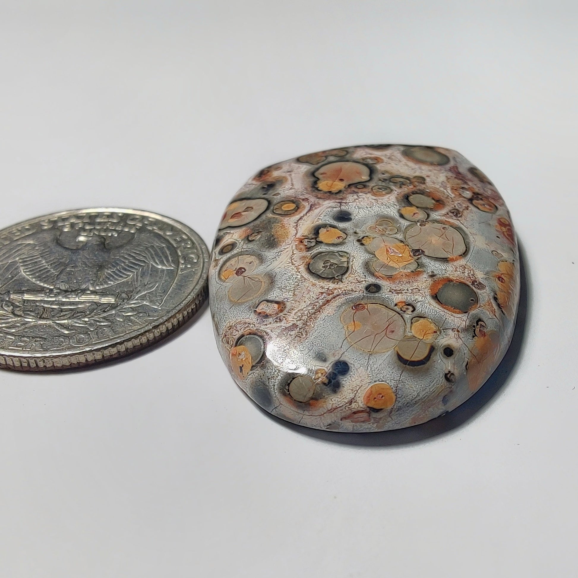 Leopard Skin Jasper gemstone cabochon - natural crystal healing stone for jewelry making by Gemivra