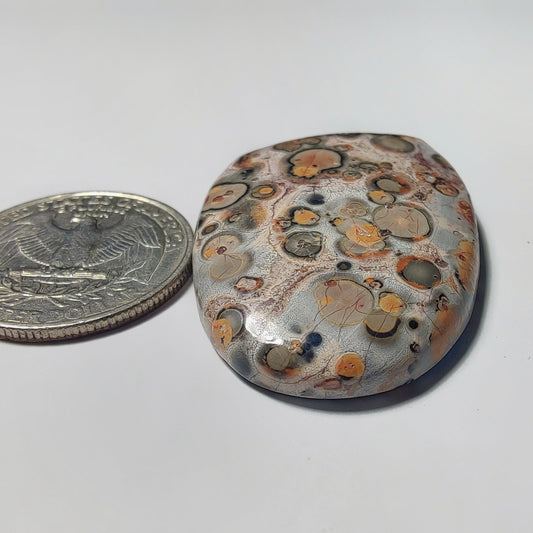 Leopard Skin Jasper gemstone cabochon - natural crystal healing stone for jewelry making by Gemivra