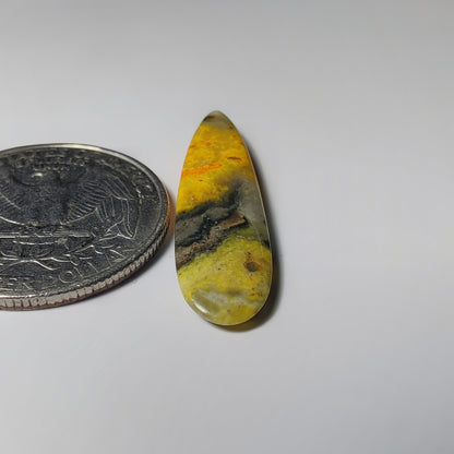 Bumblebee Jasper