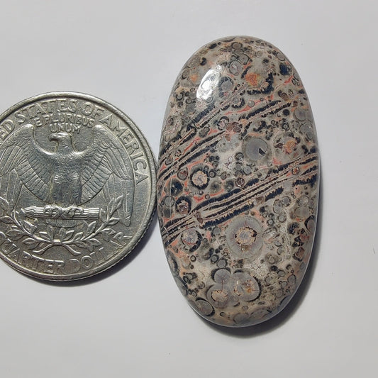 Leopard Skin Jasper gemstone cabochon - natural crystal healing stone for jewelry making by Gemivra