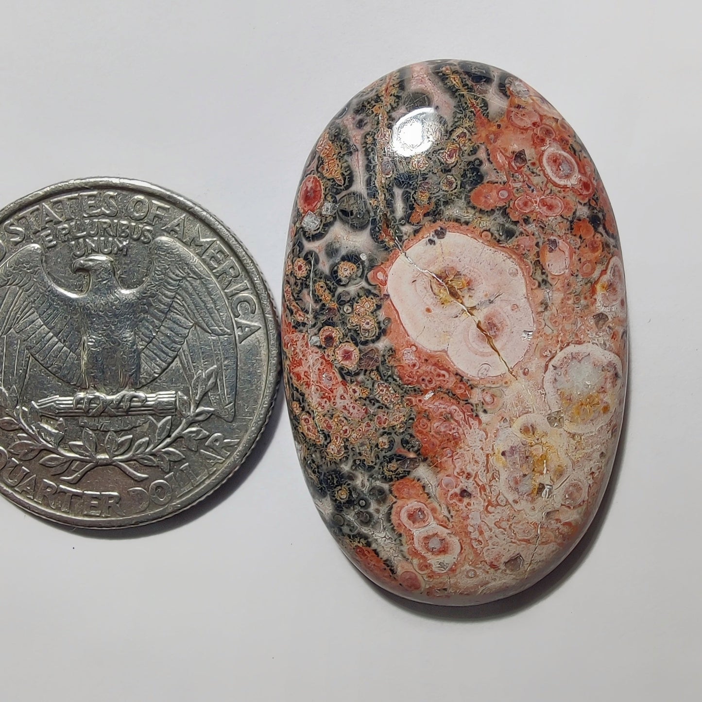 Leopard Skin Jasper gemstone cabochon - natural crystal healing stone for jewelry making by Gemivra