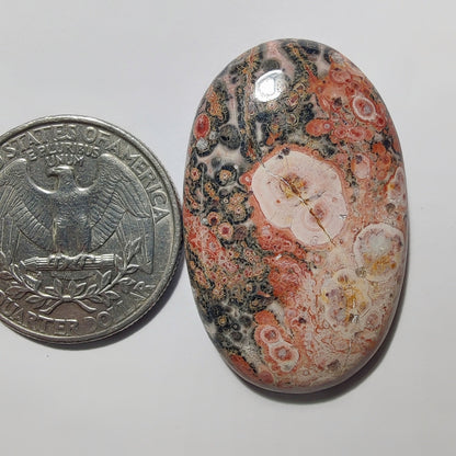 Leopard Skin Jasper gemstone cabochon - natural crystal healing stone for jewelry making by Gemivra