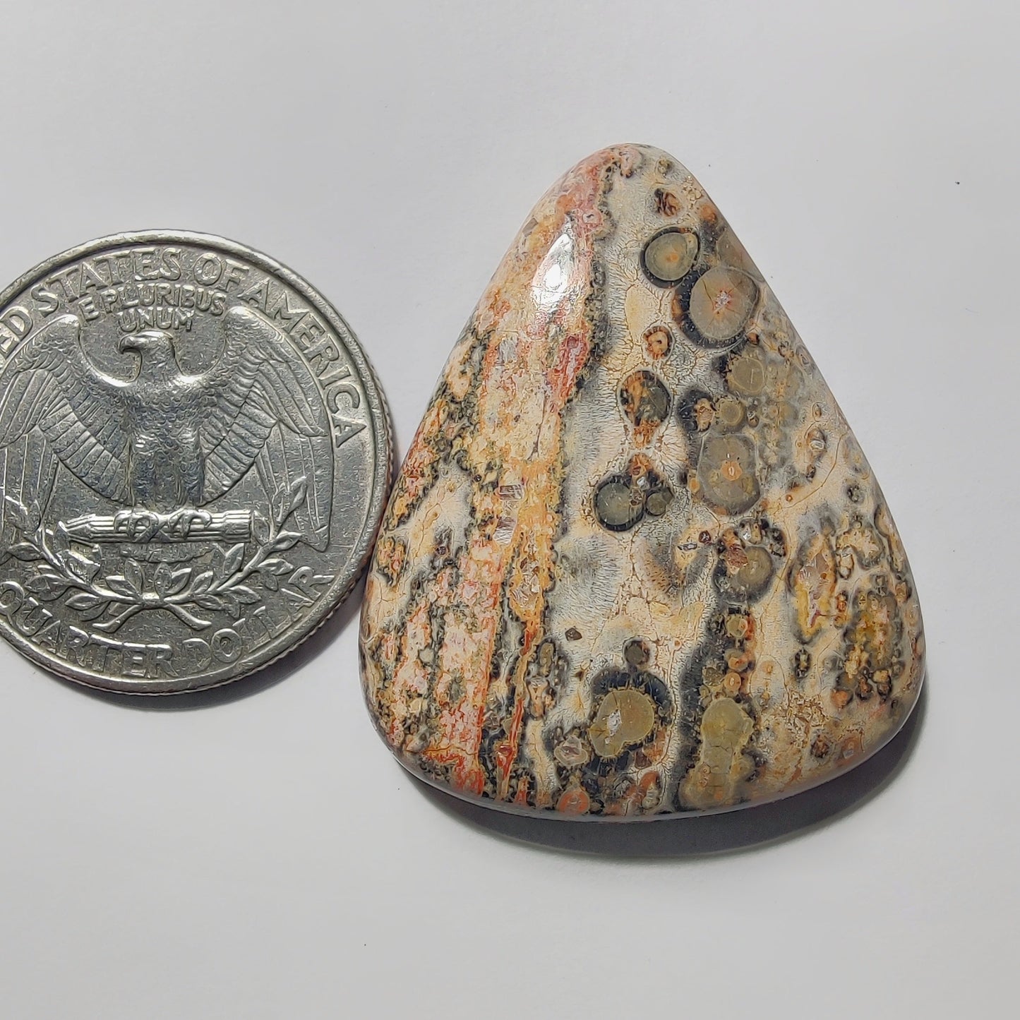 Leopard Skin Jasper gemstone cabochon - natural crystal healing stone for jewelry making by Gemivra