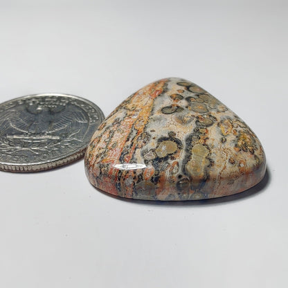 Leopard Skin Jasper gemstone cabochon - natural crystal healing stone for jewelry making by Gemivra
