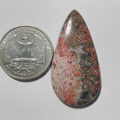 Leopard Skin Jasper gemstone cabochon - natural crystal healing stone for jewelry making by Gemivra