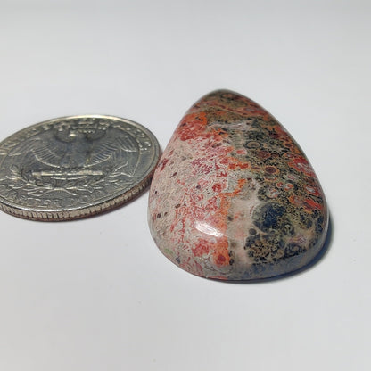 Leopard Skin Jasper gemstone cabochon - natural crystal healing stone for jewelry making by Gemivra