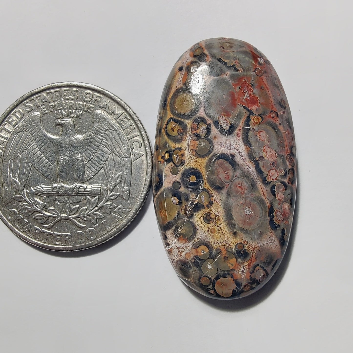 Leopard Skin Jasper gemstone cabochon - natural crystal healing stone for jewelry making by Gemivra